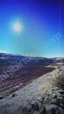 Batman / Gercüş / Çukurçeşme Mah.Acilen Satılık fıstık bahçesi 10.730m2 satılıktır.