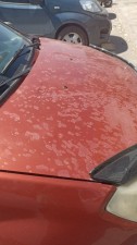 Sorunsuz Dacia