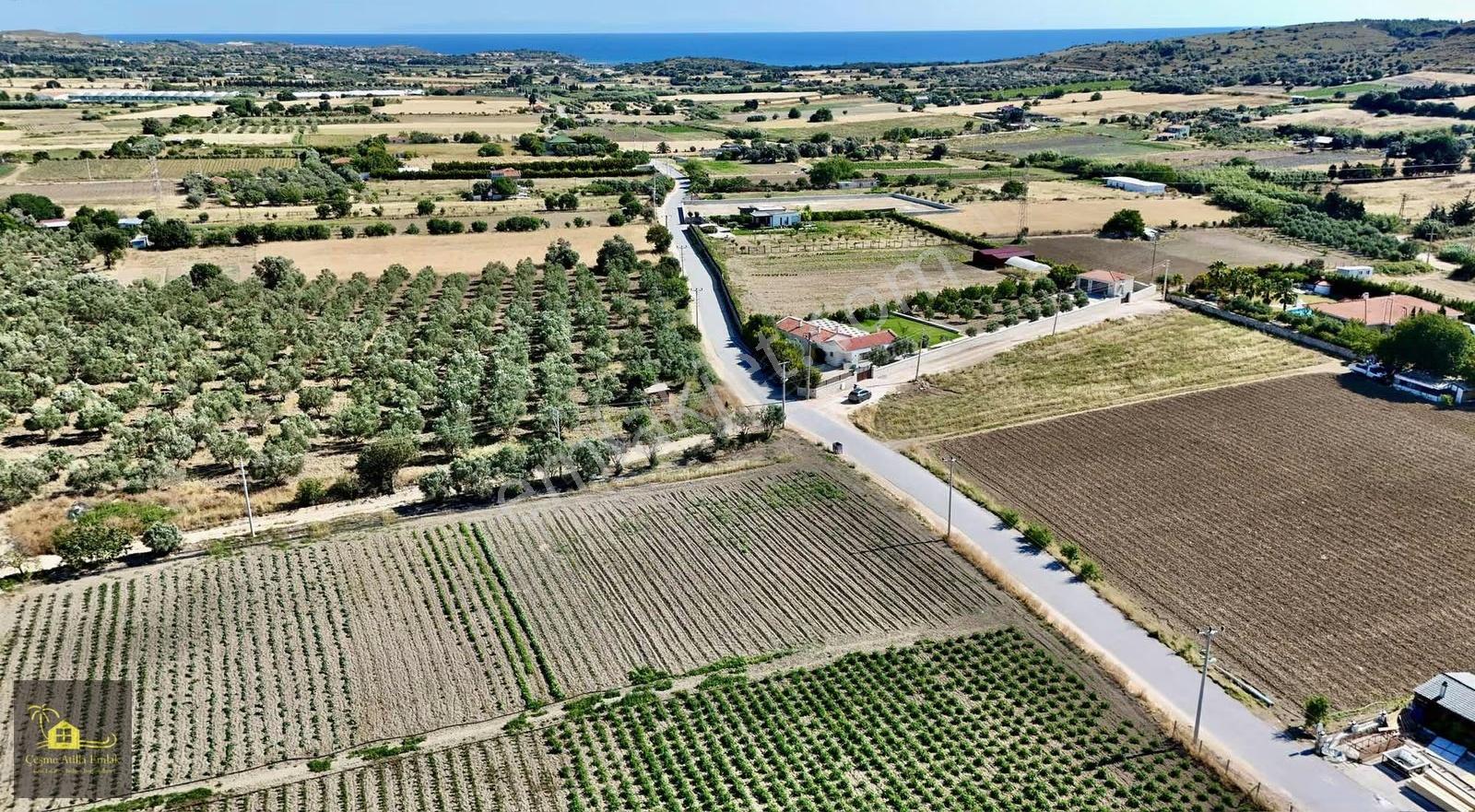 Çeşme Ovacık'ta Satılık 6550 M2 Fırsat Tarla