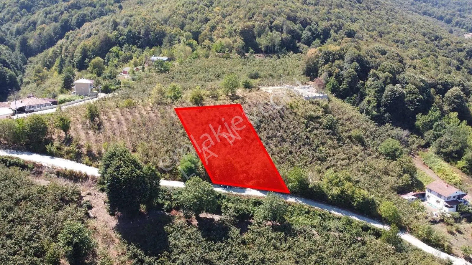 Ruşen Aydın Gayrımenkul'den Düzce / Kaynaşlı 'da Satılık Arsa