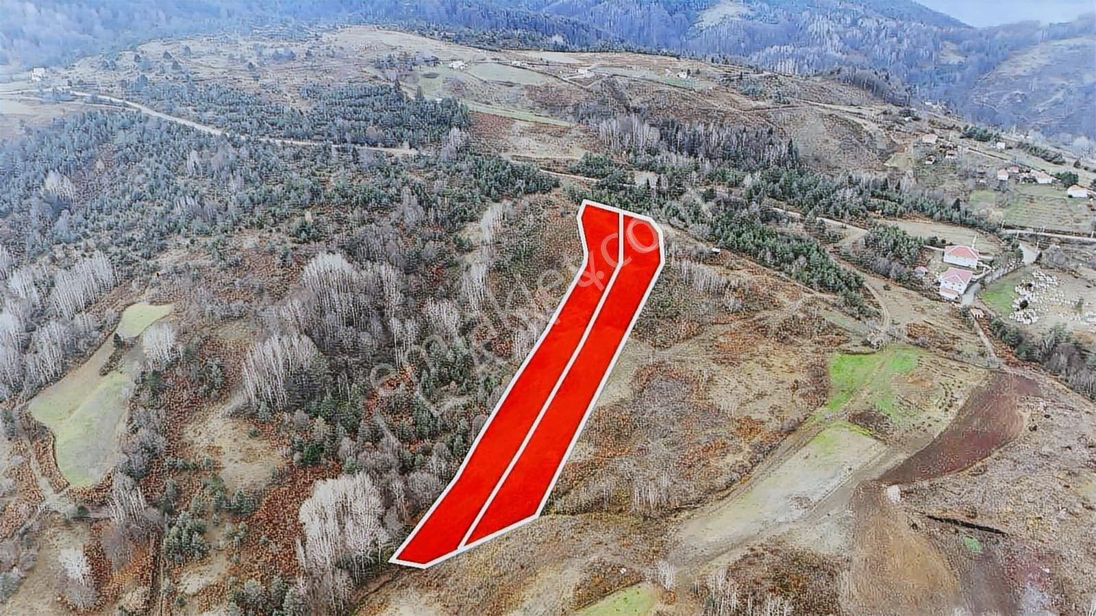 Ruşen Aydın Gyd'dan Kaynaşlı Yeniyurt Köyünde Satılık Arsalar