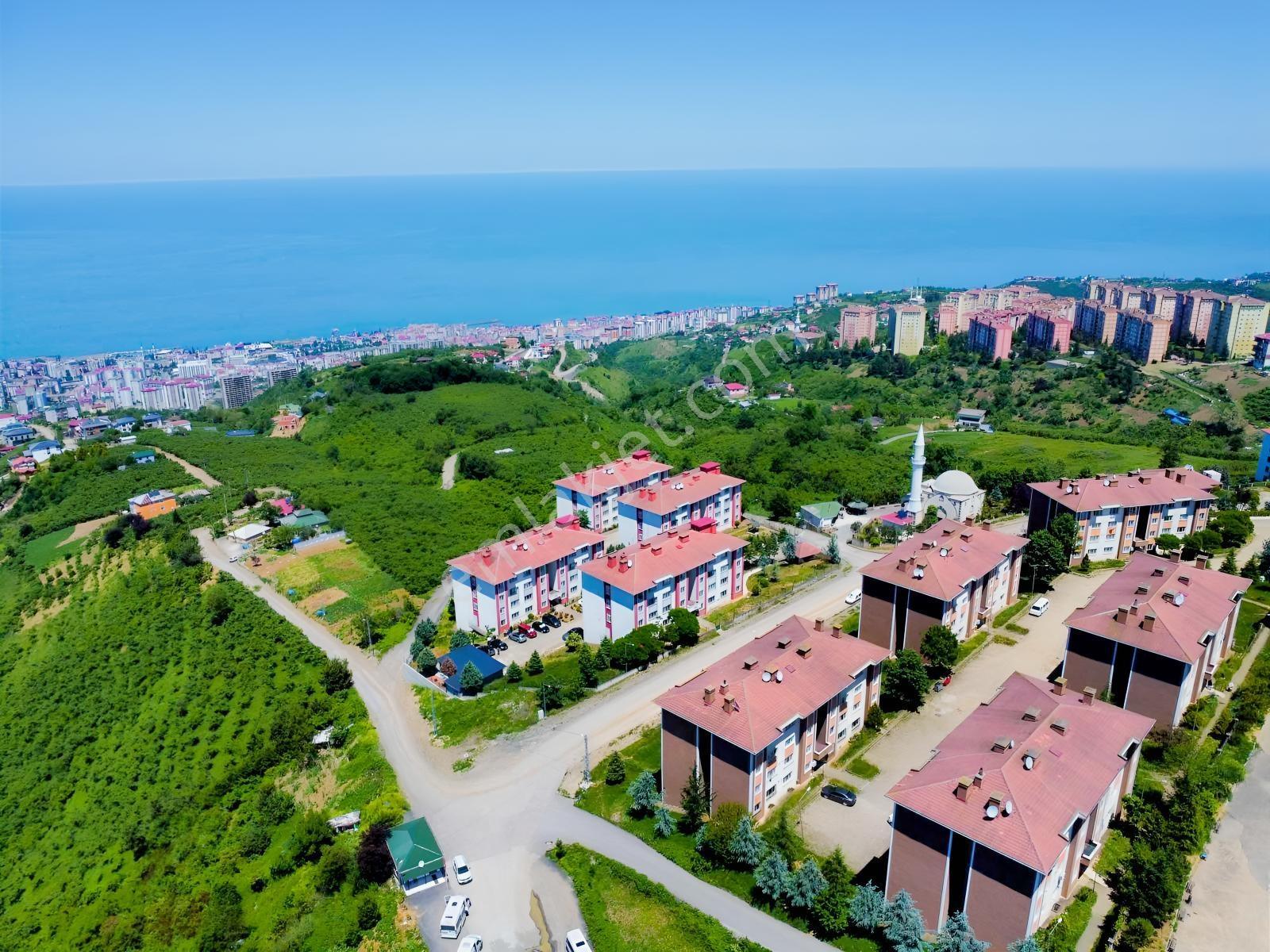 Acil Trabzon Fırsat Acil Daire