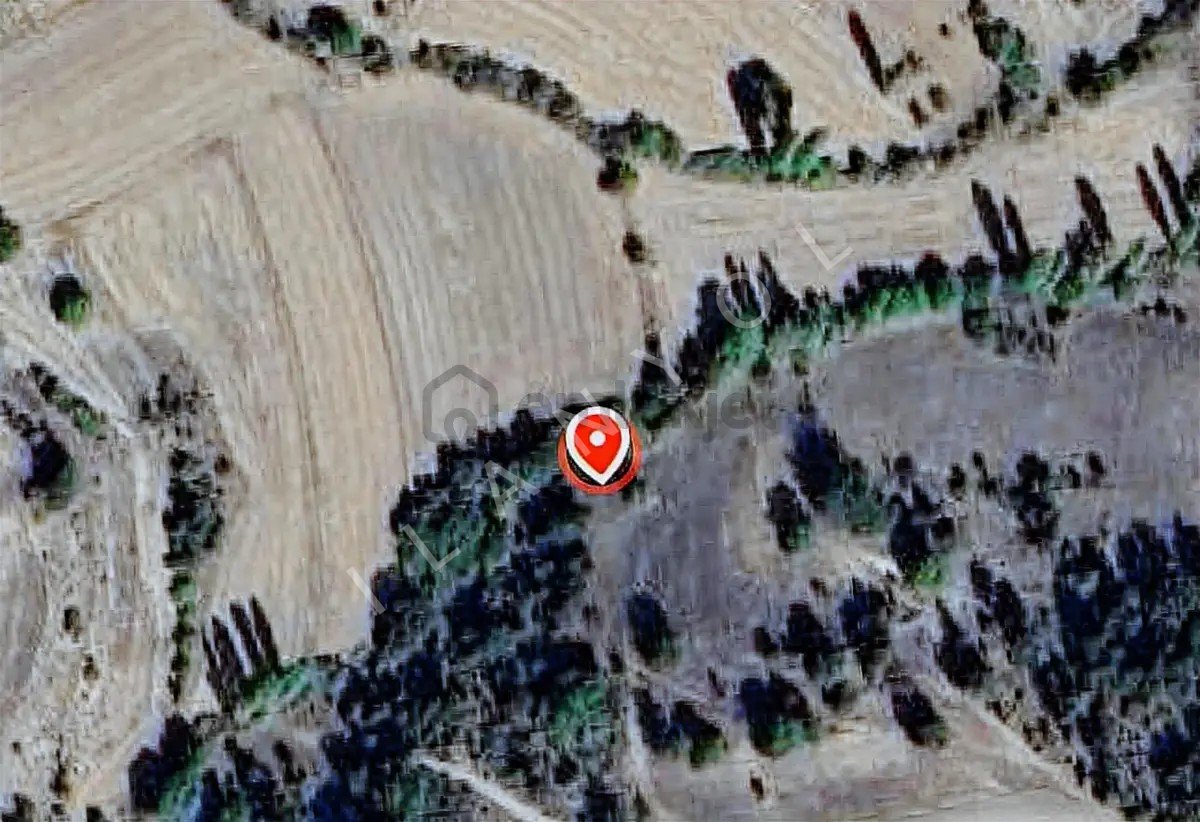Kütahya Emet İlçesi Gökler Köyünde Satılık Tarla