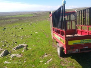 200 max 3 teklerlik kasalı motor