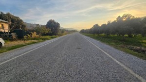 MG GÜNEŞ EMLAK'TAN SATILIK ÇİFTLİK ARAZİSİ