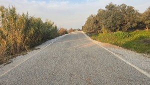 MG GÜNEŞ EMLAK'TAN SATILIK ÇİFTLİK ARAZİSİ