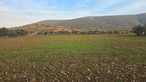 MG GÜNEŞ EMLAK'TAN SATILIK ÇİFTLİK ARAZİSİ