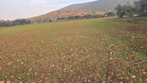 MG GÜNEŞ EMLAK'TAN SATILIK ÇİFTLİK ARAZİSİ