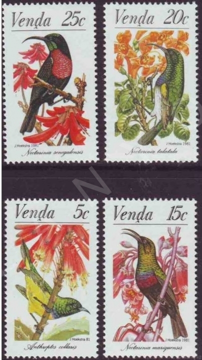 VENDA 1981 DAMGASIZ GÜNEŞ KUŞLARINI KORUMA SERİSİ
