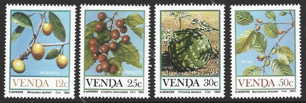 VENDA 1985 DAMGASIZ VELD’DEN GELEN MEYVELER SERİSİ