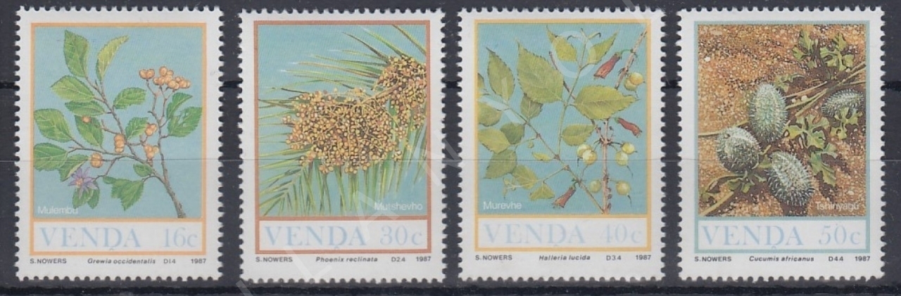 VENDA 1987 DAMGASIZ VELD’DEN GELEN MEYVELER SERİSİ