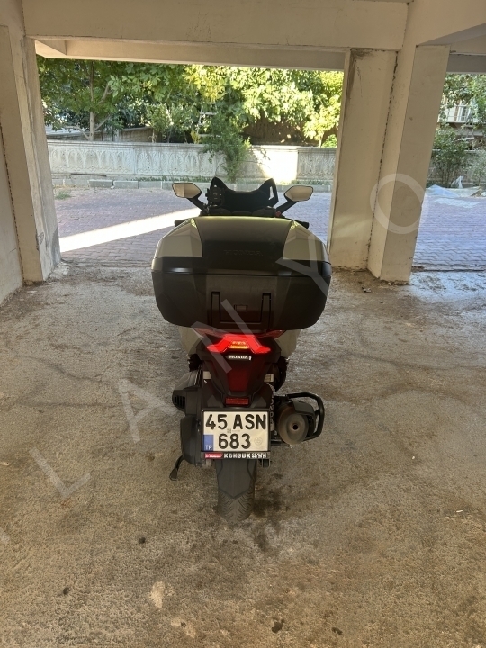 Forza250 2024